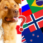 This Flags Quiz May Be a Liiiittle Challenging, So Here’s the First Answer for Free: Japan — Good Luck With the Rest