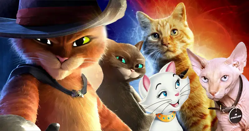 Can You Match These 20 Cats to Their Movies?