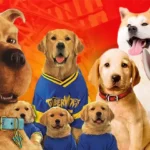 Can You Match These 22 Dogs to Their Movies?