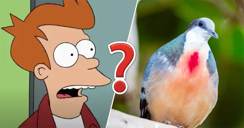 Unless You Have an Encyclopedic Knowledge, You Won’t Be Getting Better Than 15/20 on This Quiz