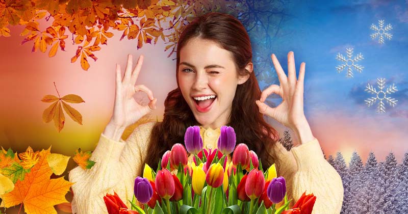 You Have a Super High Intelligence If You Can Pass This ‘Name the Season’ Quiz 🍁