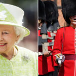 The 👑 Royal Family Is Hiring. Which Role Would Fit You?